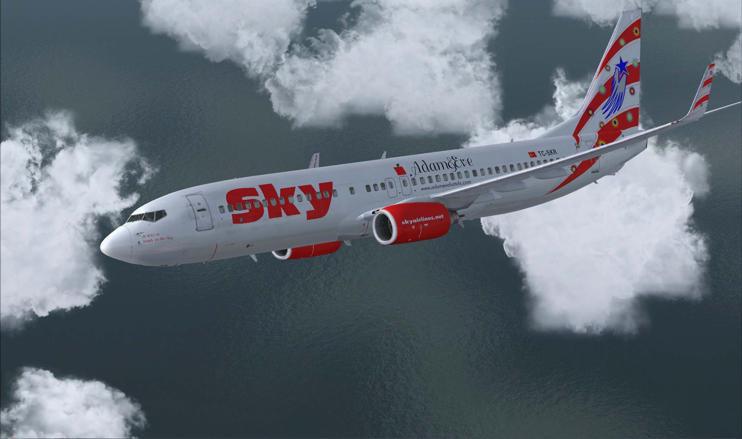 PMDG NGX Sky Airlines Boyaması Sendfile